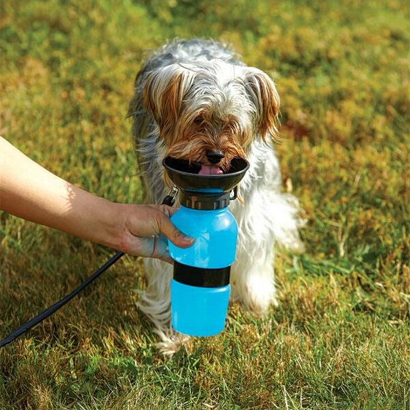 Water Mug Cup Dispenser