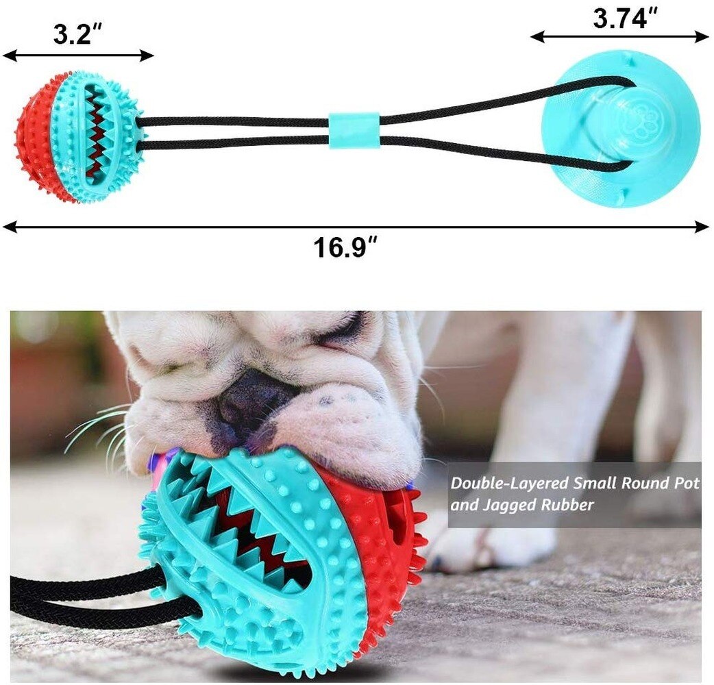 Multifunction Squeaking Pull Toy with Suction Cup