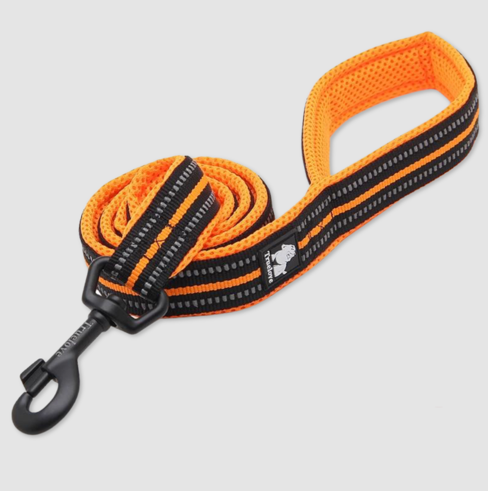 Reflective Dog Leash