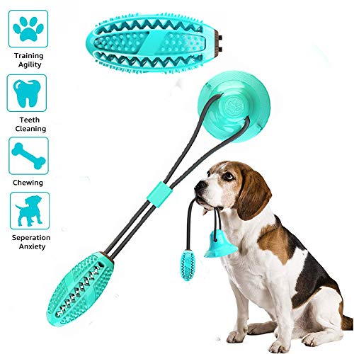 Multifunction Squeaking Pull Toy with Suction Cup - Oval with Suck Cup