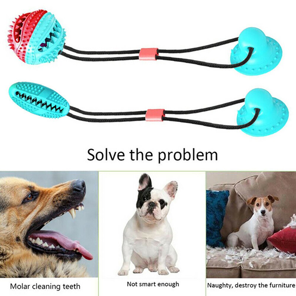 Multifunction Squeaking Pull Toy with Suction Cup