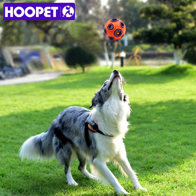 Pet Chewy Light-Up Ball