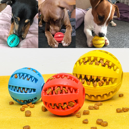 Dog Chew Ball