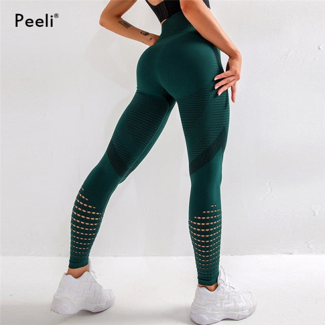 High Waist Seamless Leggings or Sports Bra - green / M - green / L - green / S - green / XL