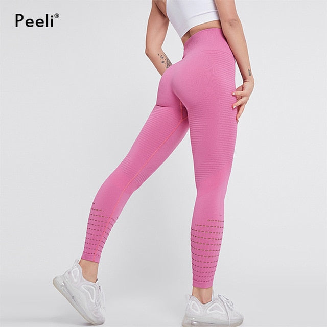 High Waist Seamless Leggings or Sports Bra - pink / S - pink / M - pink / L - pink / XL