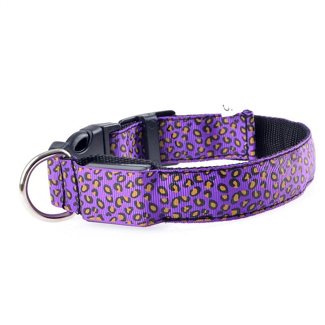 Leopard Print LED Dog Collar - Purple / XS 28-38cm - Purple / S 35-43cm - Purple / M 40-48cm - Purple / L 45-52cm - Purple / XL 52-60cm