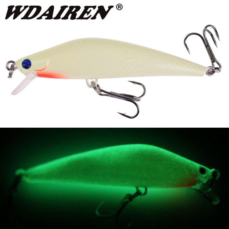 WDAIREN 3D Luminous Minnow