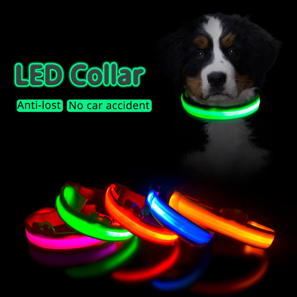 Led Dog Collar