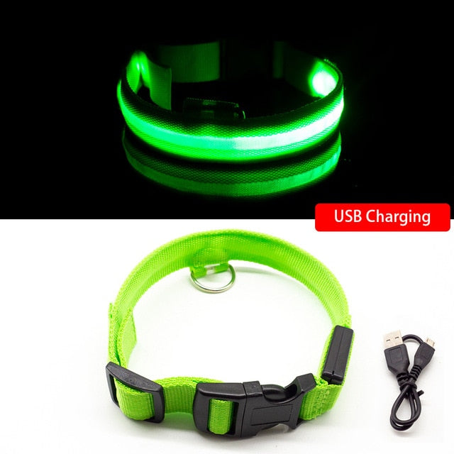 Led Dog Collar - Green USB Charging / XL NECK 42-56 CM - Green USB Charging / M NECK 37-46 CM - Green USB Charging / L NECK 41-52 CM - Green USB Charging / XS  NECK 28-38 CM - Green USB Charging / S  NECK 35-41 CM