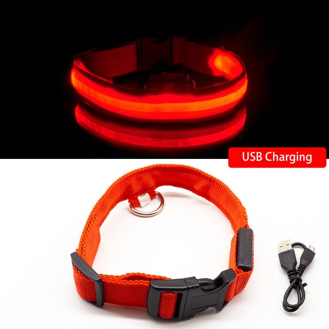 Led Dog Collar - Red USB Charging / S  NECK 35-41 CM - Red USB Charging / M NECK 37-46 CM - Red USB Charging / XS  NECK 28-38 CM - Red USB Charging / L NECK 41-52 CM - Red USB Charging / XL NECK 42-56 CM