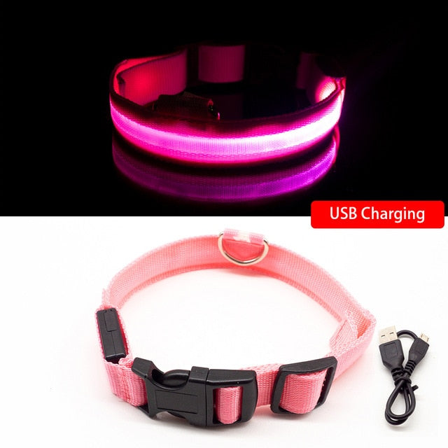 Led Dog Collar - Pink USB Charging / XS  NECK 28-38 CM - Pink USB Charging / S  NECK 35-41 CM - Pink USB Charging / XL NECK 42-56 CM - Pink USB Charging / M NECK 37-46 CM - Pink USB Charging / L NECK 41-52 CM