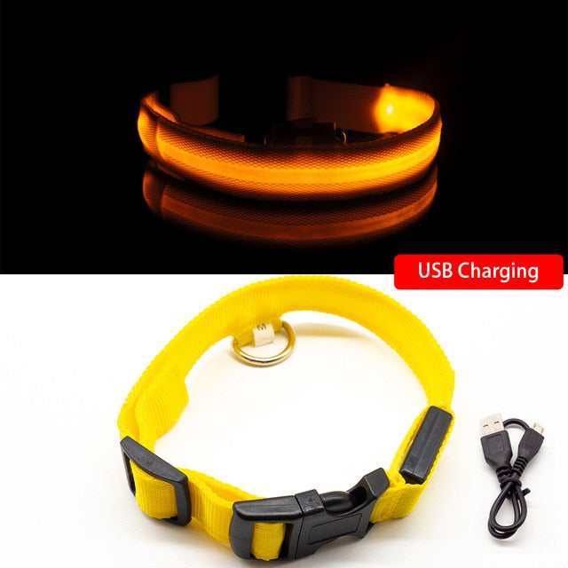 Led Dog Collar - Yellow USB Charging / XS  NECK 28-38 CM - Yellow USB Charging / L NECK 41-52 CM - Yellow USB Charging / XL NECK 42-56 CM - Yellow USB Charging / S  NECK 35-41 CM - Yellow USB Charging / M NECK 37-46 CM