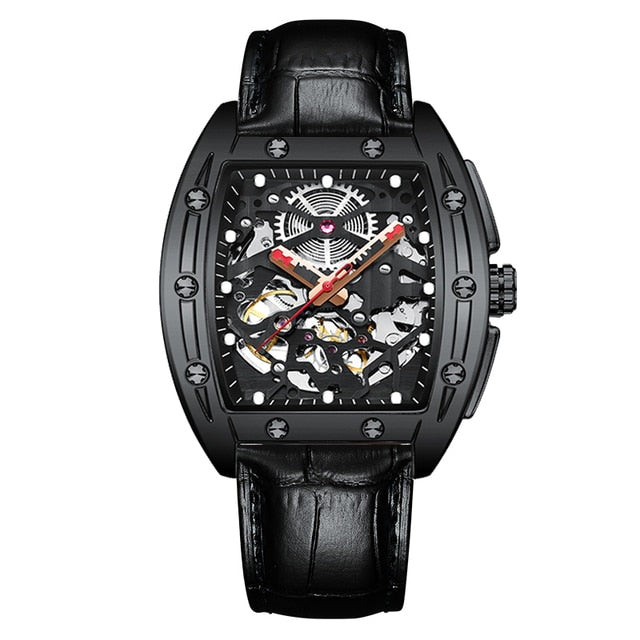 AILANG Automatic Luxury Watch - 12