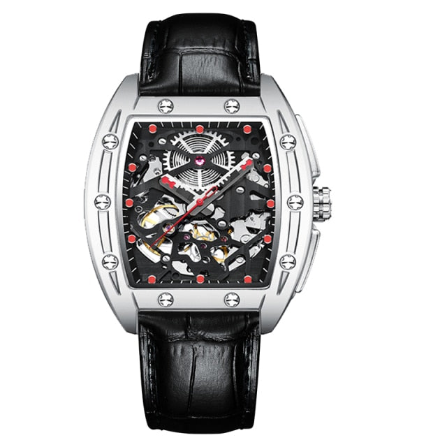 AILANG Automatic Luxury Watch - 13