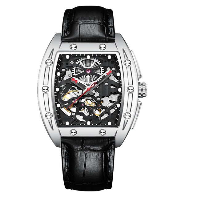 AILANG Automatic Luxury Watch - 14