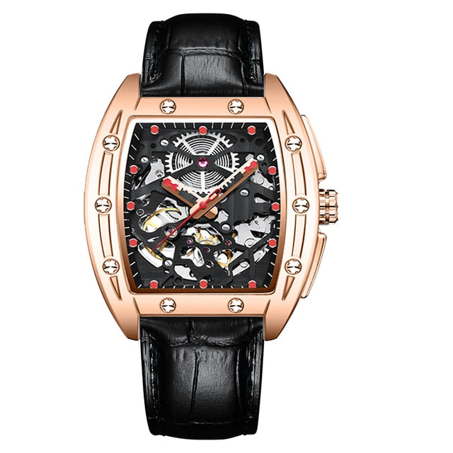 AILANG Automatic Luxury Watch - 15