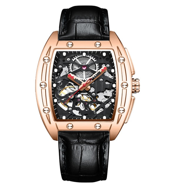 AILANG Automatic Luxury Watch - 16