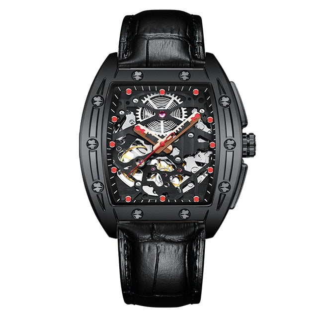 AILANG Automatic Luxury Watch - 11