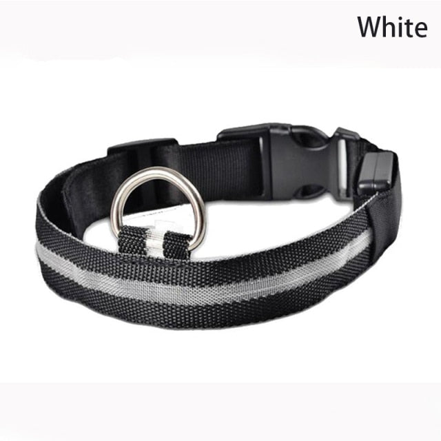 Leopard Print LED Dog Collar - Wire Mesh White / XS 28-38cm - Wire Mesh White / S 35-43cm - Wire Mesh White / M 40-48cm - Wire Mesh White / L 45-52cm - Wire Mesh White / XL 52-60cm