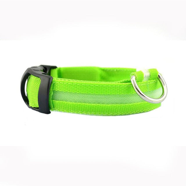 Leopard Print LED Dog Collar - Wire Mesh Green / L 45-52cm - Wire Mesh Green / XL 52-60cm - Wire Mesh Green / XS 28-38cm - Wire Mesh Green / S 35-43cm - Wire Mesh Green / M 40-48cm