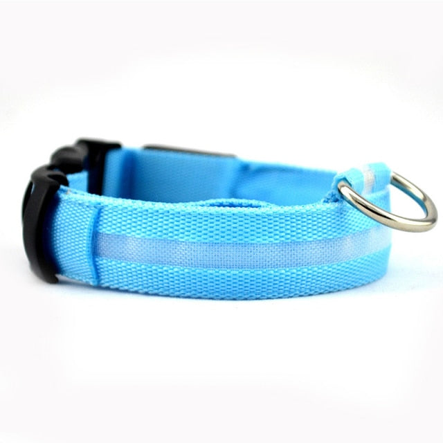 Leopard Print LED Dog Collar - Wire Mesh Blue / S 35-43cm - Wire Mesh Blue / M 40-48cm - Wire Mesh Blue / L 45-52cm - Wire Mesh Blue / XL 52-60cm - Wire Mesh Blue / XS 28-38cm