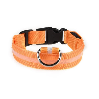 Leopard Print LED Dog Collar - Wire Mesh Orange / M 40-48cm - Wire Mesh Orange / L 45-52cm - Wire Mesh Orange / XL 52-60cm - Wire Mesh Orange / XS 28-38cm - Wire Mesh Orange / S 35-43cm