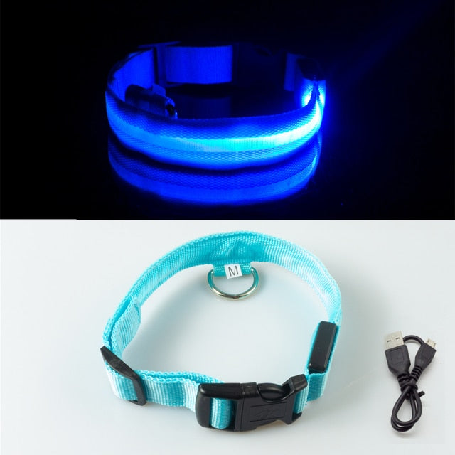 Led Dog Collar - Blue USB Charging / XS  NECK 28-38 CM - Blue USB Charging / L NECK 41-52 CM - Blue USB Charging / XL NECK 42-56 CM - Blue USB Charging / S  NECK 35-41 CM - Blue USB Charging / M NECK 37-46 CM