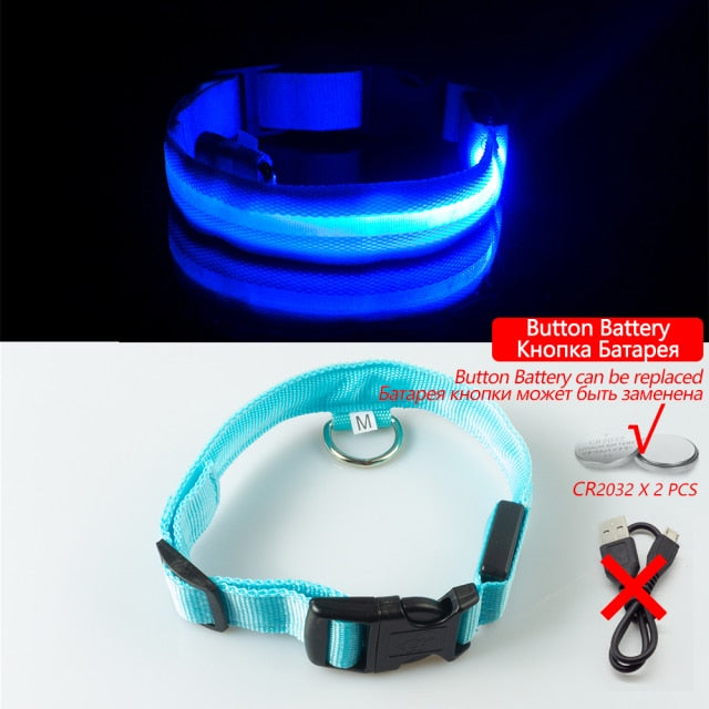 Led Dog Collar - Blue Button Battery / XL NECK 42-56 CM - Blue Button Battery / S  NECK 35-41 CM - Blue Button Battery / XS  NECK 28-38 CM - Blue Button Battery / L NECK 41-52 CM - Blue Button Battery / M NECK 37-46 CM