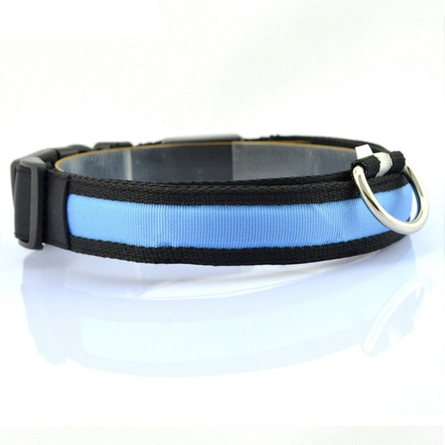 Leopard Print LED Dog Collar