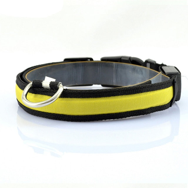 Leopard Print LED Dog Collar