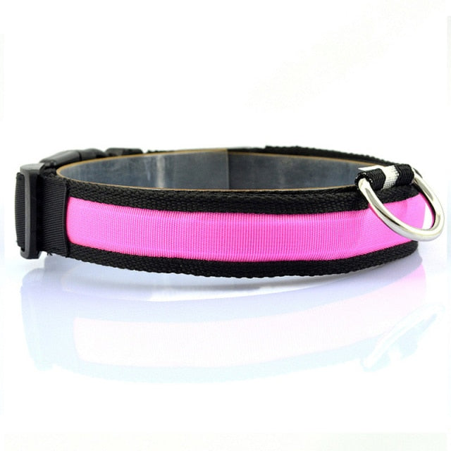 Leopard Print LED Dog Collar - Single Pink / L 45-52cm - Single Pink / M 40-48cm - Single Pink / S 35-43cm - Single Pink / XL 52-60cm