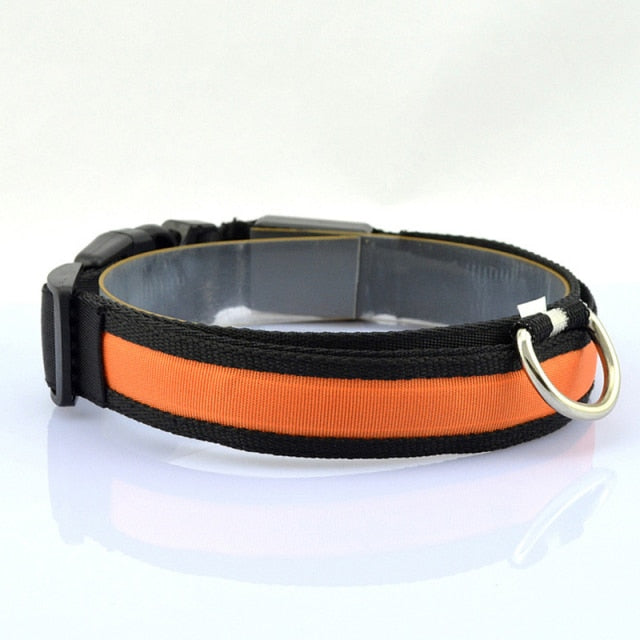 Leopard Print LED Dog Collar - Single Orange / XL 52-60cm - Single Orange / L 45-52cm - Single Orange / M 40-48cm - Single Orange / S 35-43cm