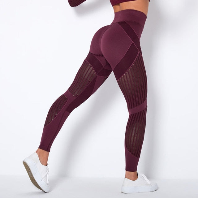 Women's High Waist Seamless Leggings - SL597WR / M - SL597WR / L - SL597WR / S - SL597WR / XS - SL597WR / XL