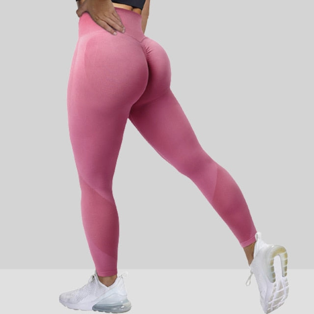 Women's High Waist Seamless Leggings